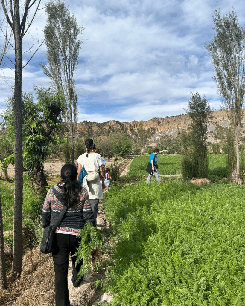 Experiencia Sur Bolivia. Verano 2025.