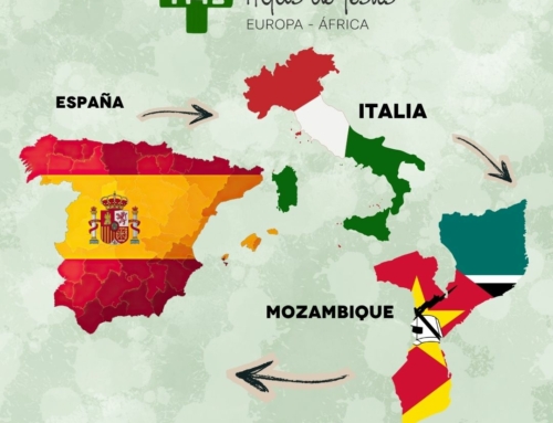 Una nueva realidad de las Hijas de Jesús: la Provincia Europa-África